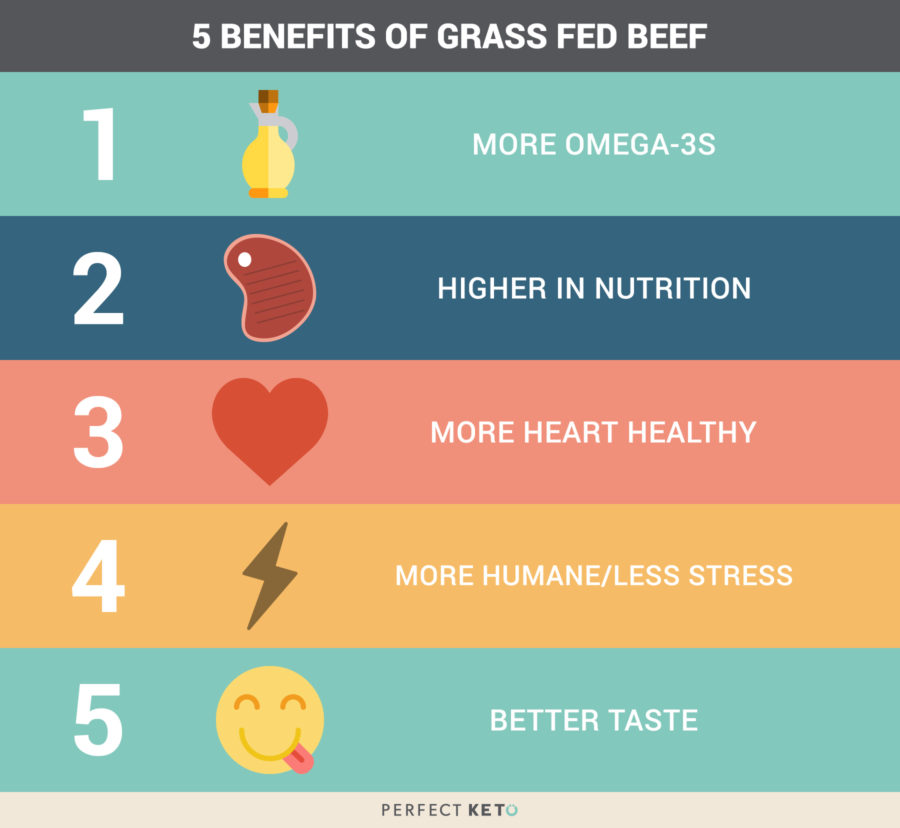 5 Benefits of Grass Fed Beef That’ll Forever Change How You Buy Meat