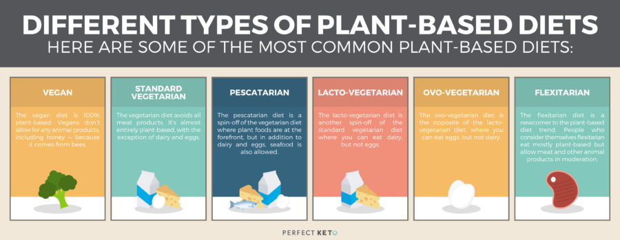 Plant-Based Keto: Is Sustainable? - Keto