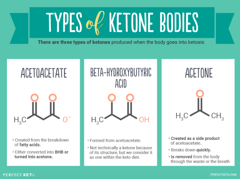 What is Acetone? Types of Ketone Bodies