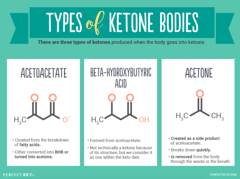 Types of Ketone Bodies: Acetoacetate, BHB, and Acetone