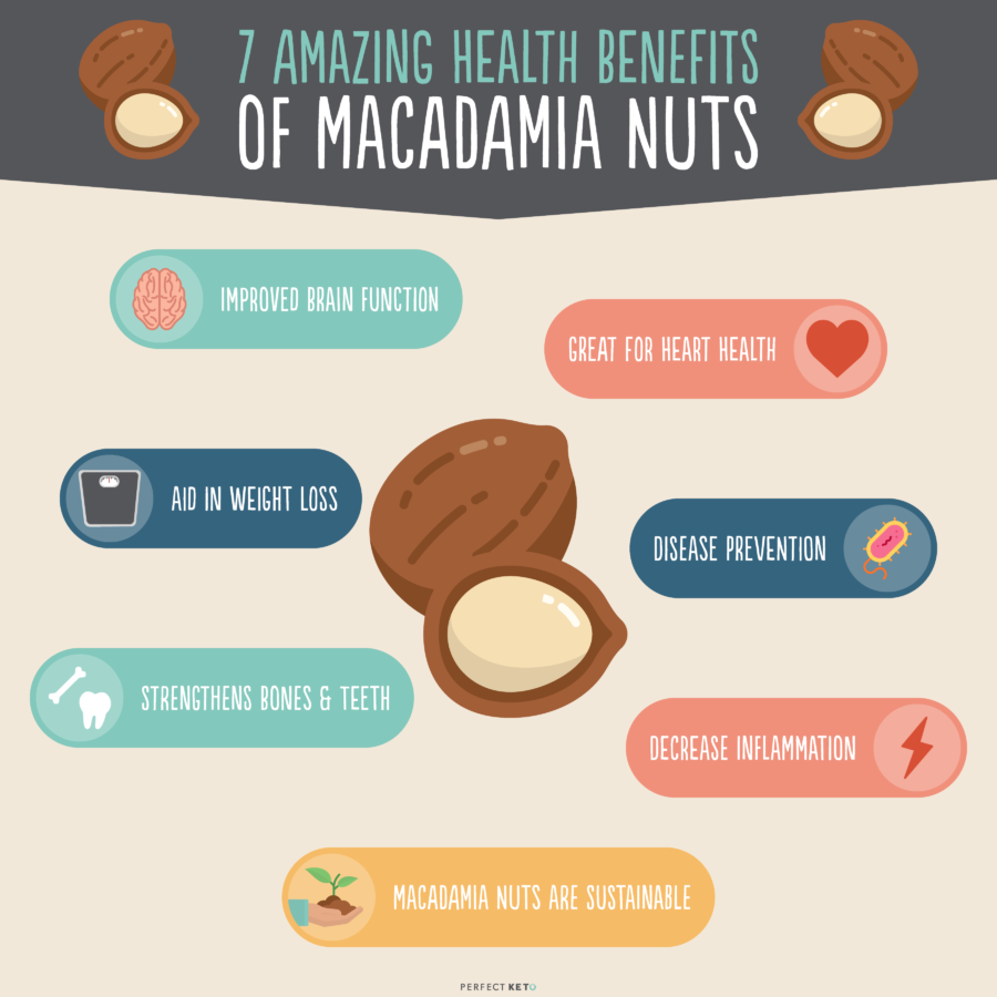 Macadamia Nuts Nutrition: 7 Health Benefits