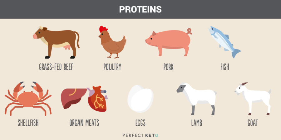 diverse proteine che vanno bene per la keto