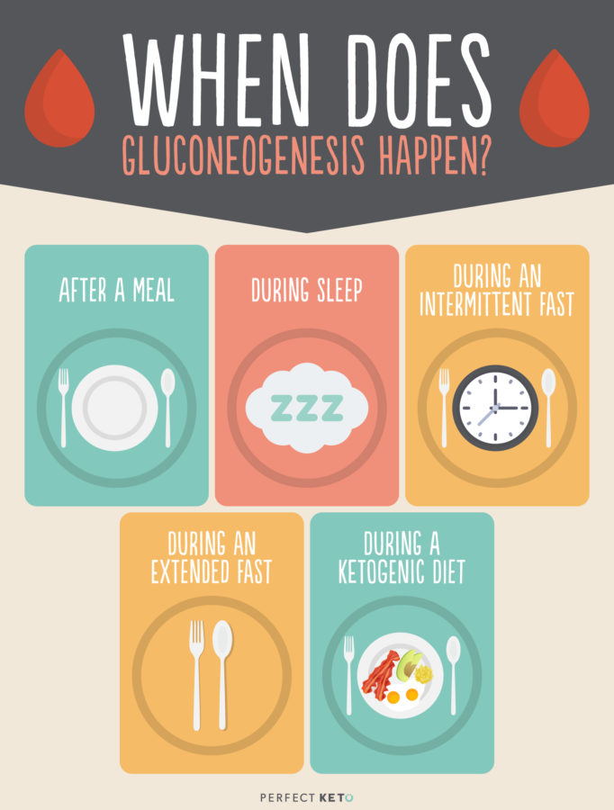 Gluconeogenesis A Scary Sounding Word For An Awesome Keto Effect