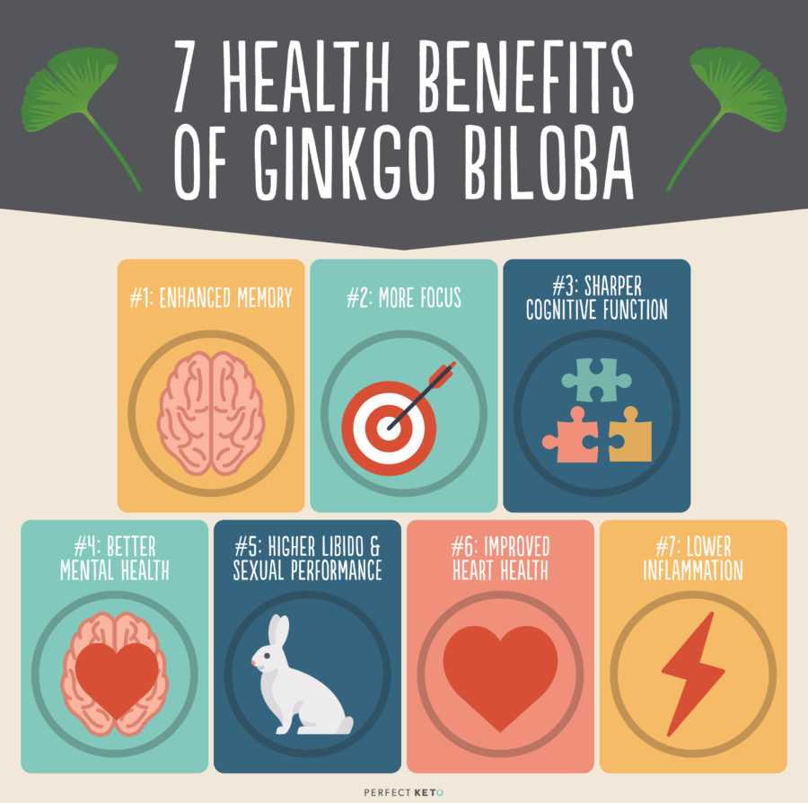 ginko biloba benefits