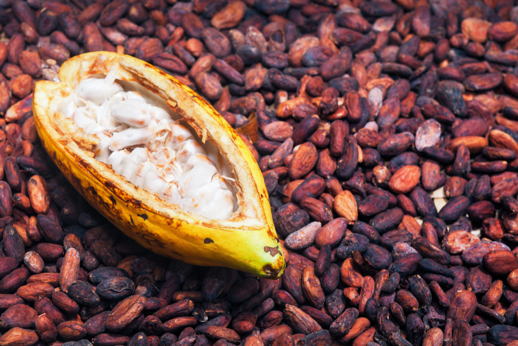 cacao butter