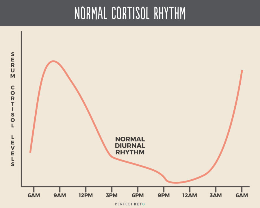 Normal Cortisol Rhythm 900x720 