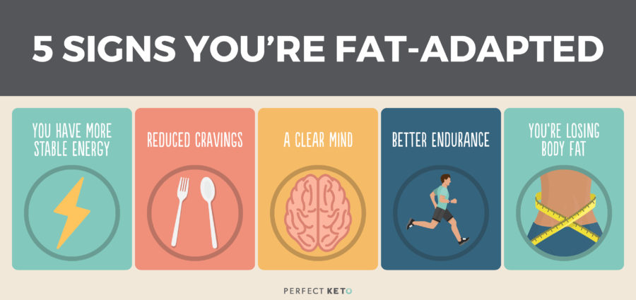 5 signs you are fat adapted