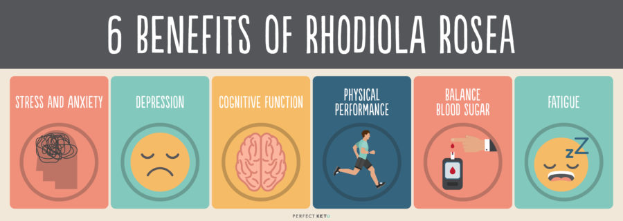 6 Rhodiola Rosea Benefits