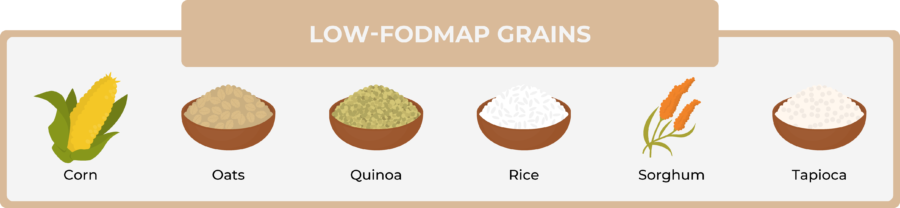 02 8 low fodmap grains