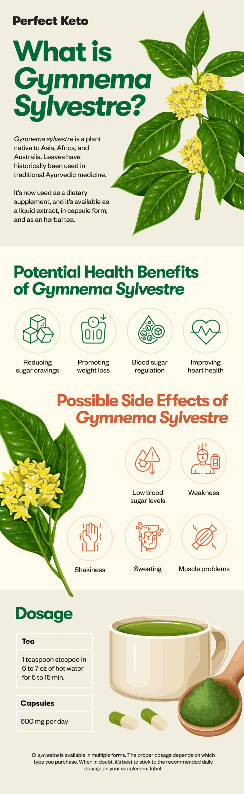 Gymnema Sylvestre