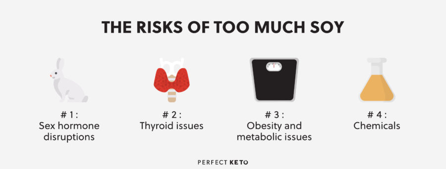 the risks of too much soy