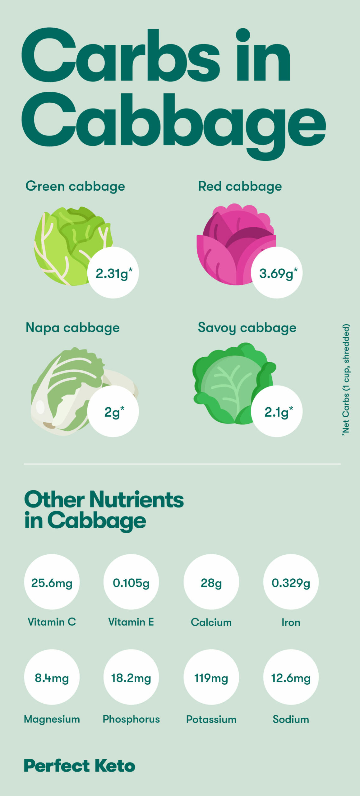 carbs in cabbage