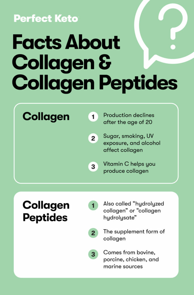 Collagen vs. Collagen Peptides Understanding the Difference Perfect Keto
