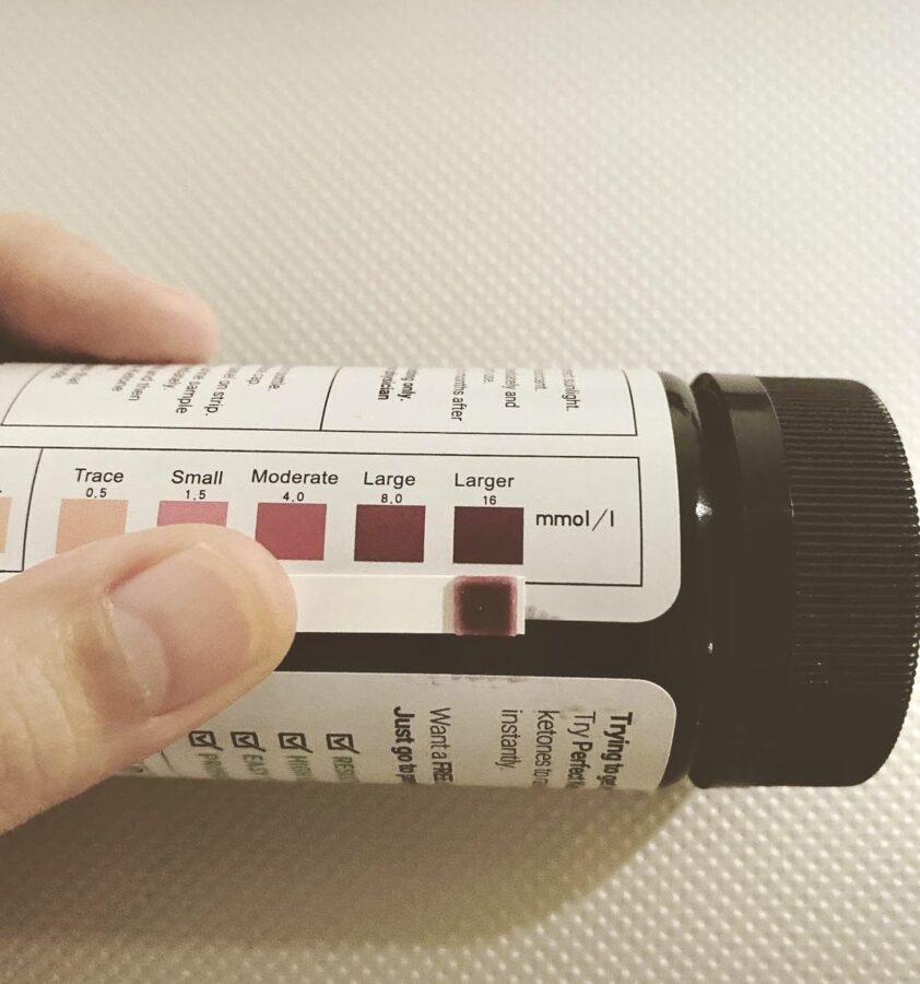 ketone meter results